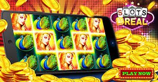365pk